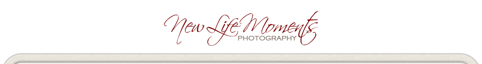 New Life Moments Photography | South Florida Wedding, Event & Lifestyle Photography logo
